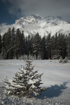  Mountain Landscape In Winter Banff