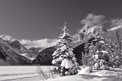  Winter Sunny Day On Lake Louise Monochrome
