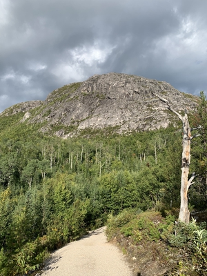  11 Hiking Trail Mont Du Lac Des Cygnes