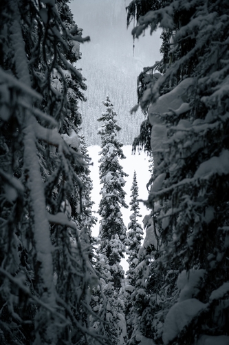  Lake Louise Winter 00003