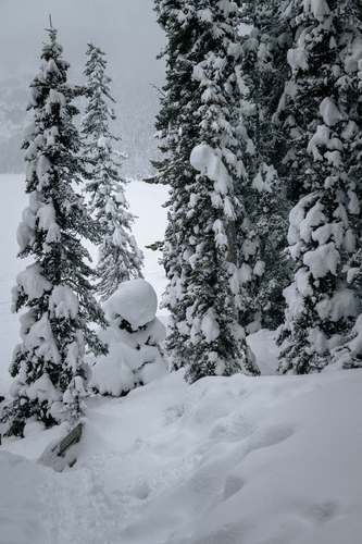  Lake Louise Winter 00008