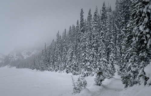  Lake Louise Winter 00014