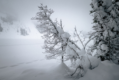  Lake Louise Winter 00015
