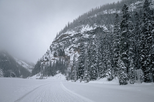  Lake Louise Winter 00021