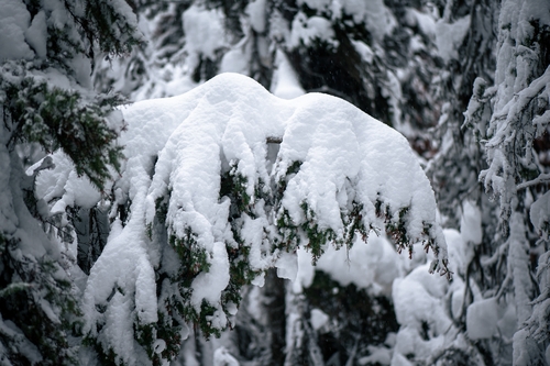  Lake Louise Winter 00022