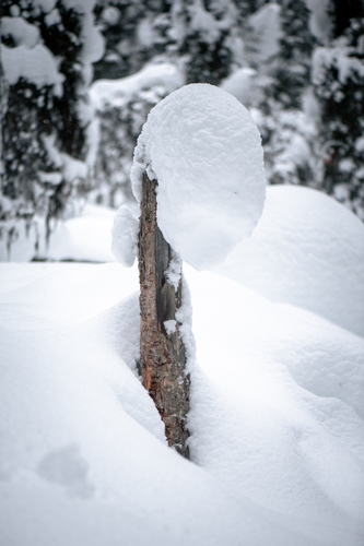  Lake Louise Winter 00023