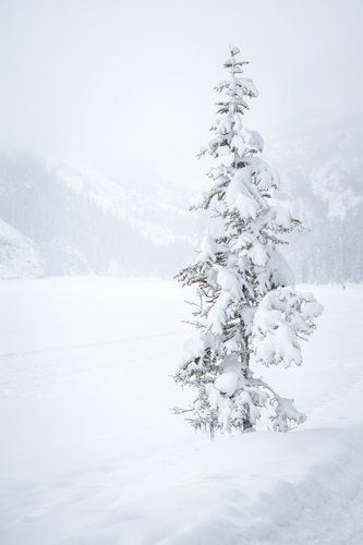  Lake Louise Winter 00029
