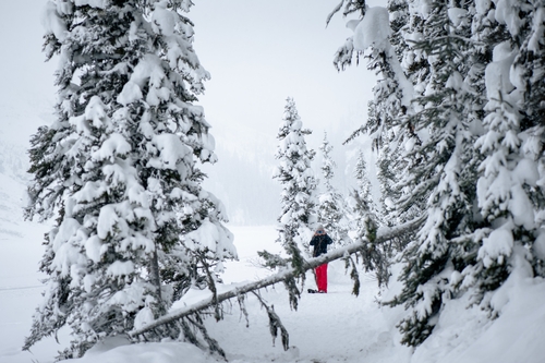  Lake Louise Winter 00032