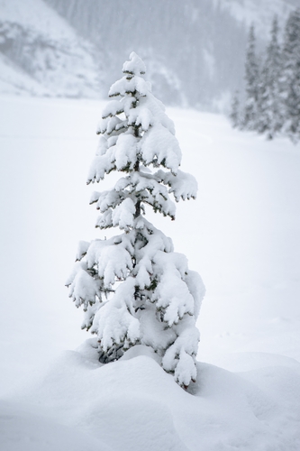 Lake Louise Winter 00034