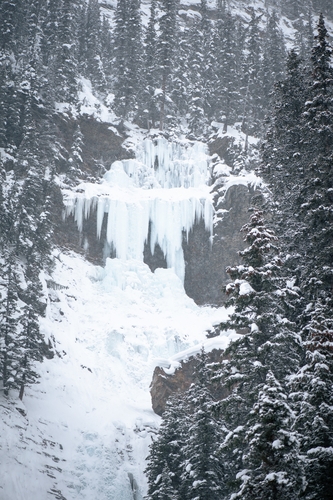  Lake Louise Winter 00036