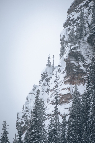  Lake Louise Winter 00037
