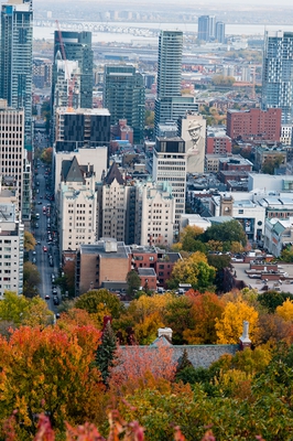  View Mount Royal Autumn Montreal
